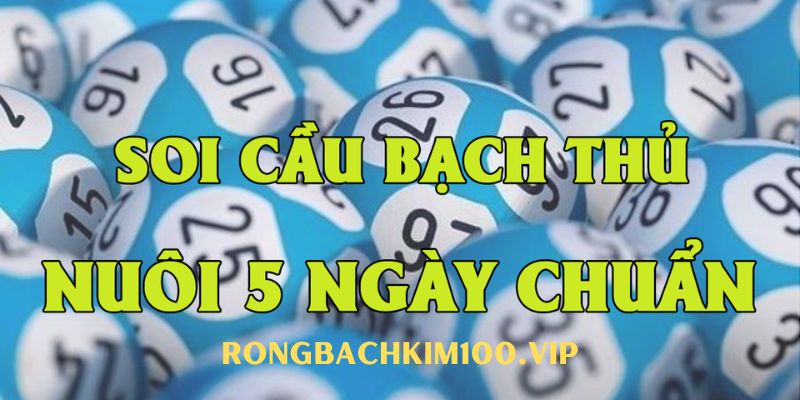 Những cách chơi bạch thủ lô nuôi khung 5 ngày được nhiều cao thủ kiểm chứng